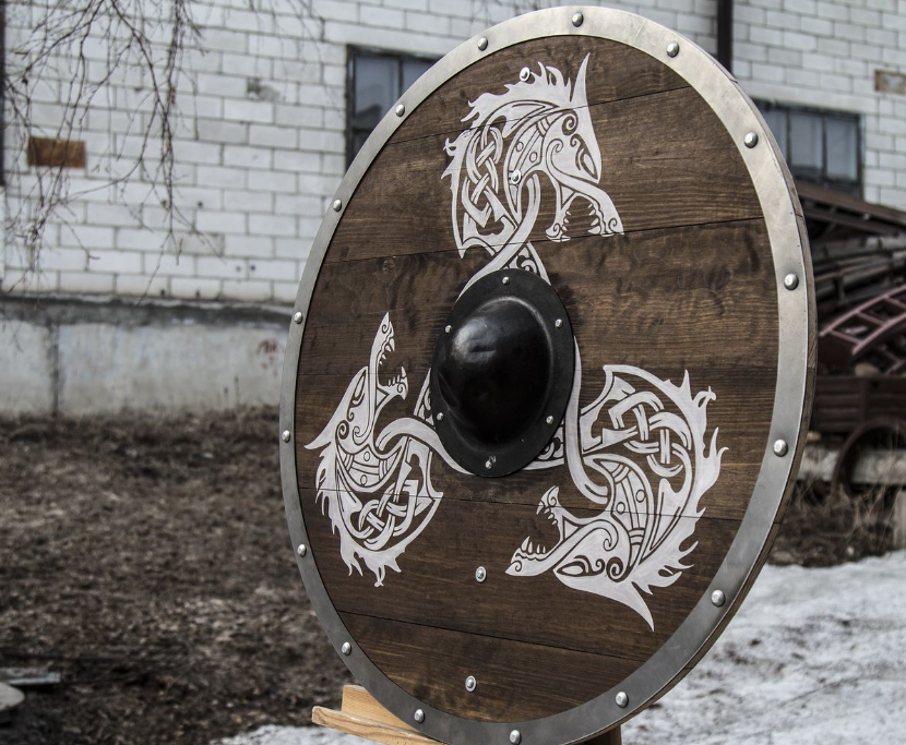 Battle viking shield