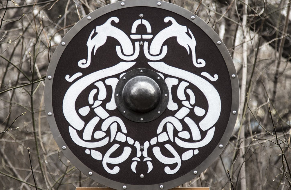 norse dragon shield