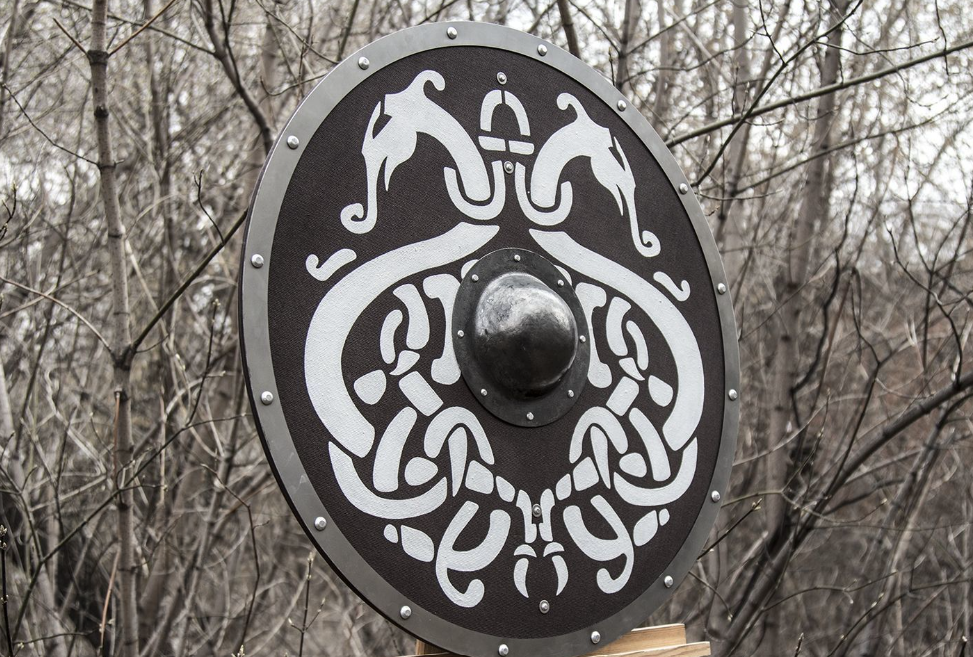 norse dragon shield
