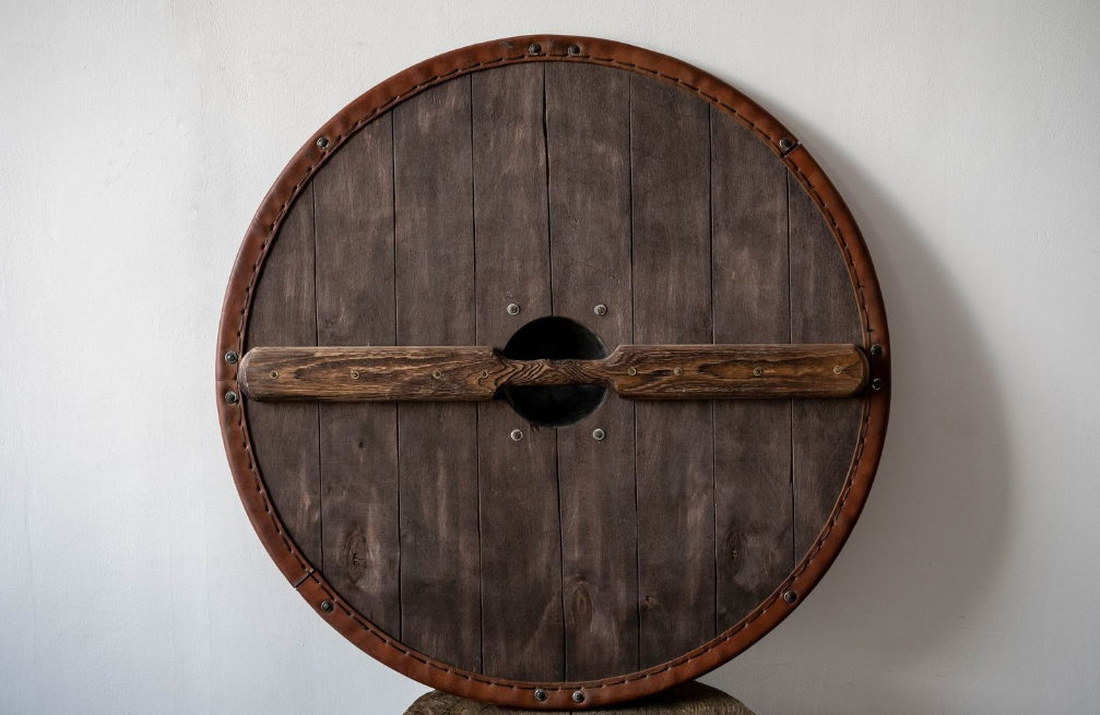 drakkar viking shield