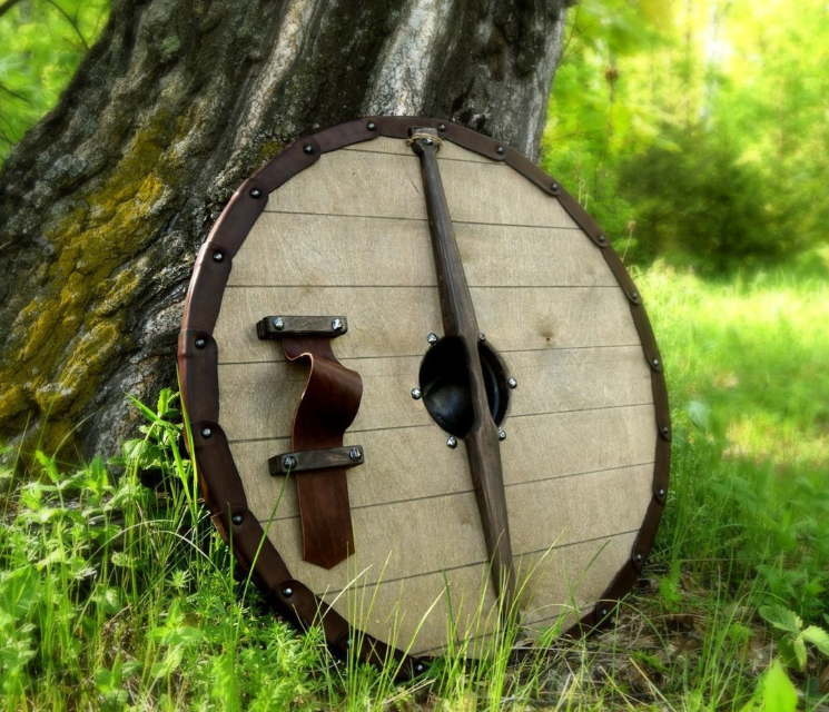 scandinavian shield 