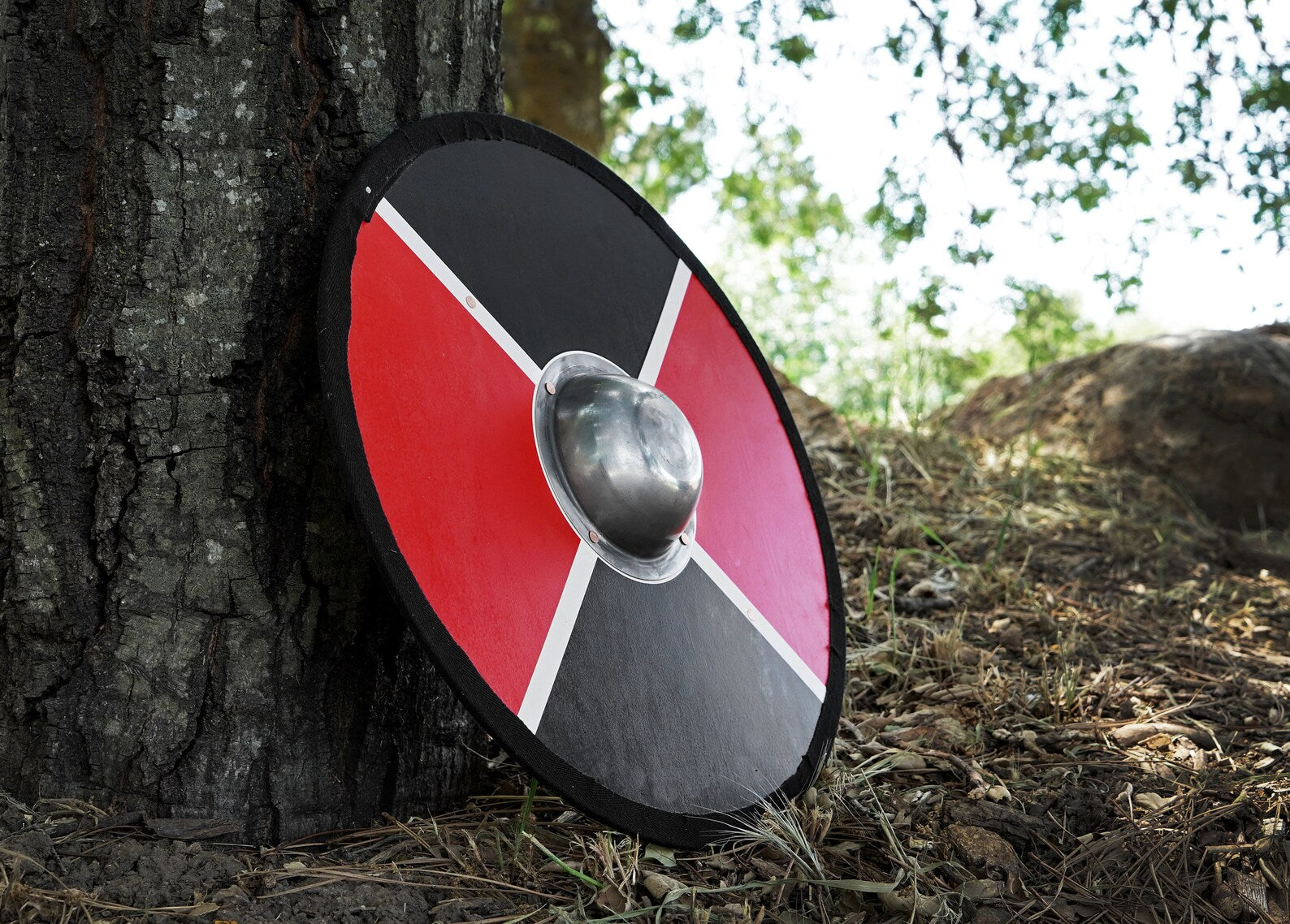 battle viking shield