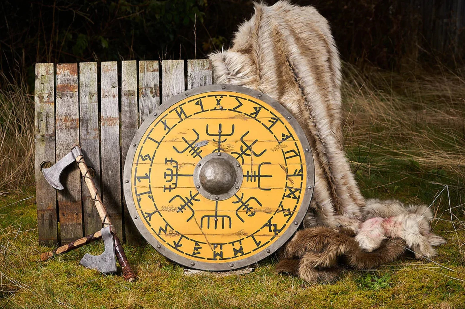 Battle viking shield