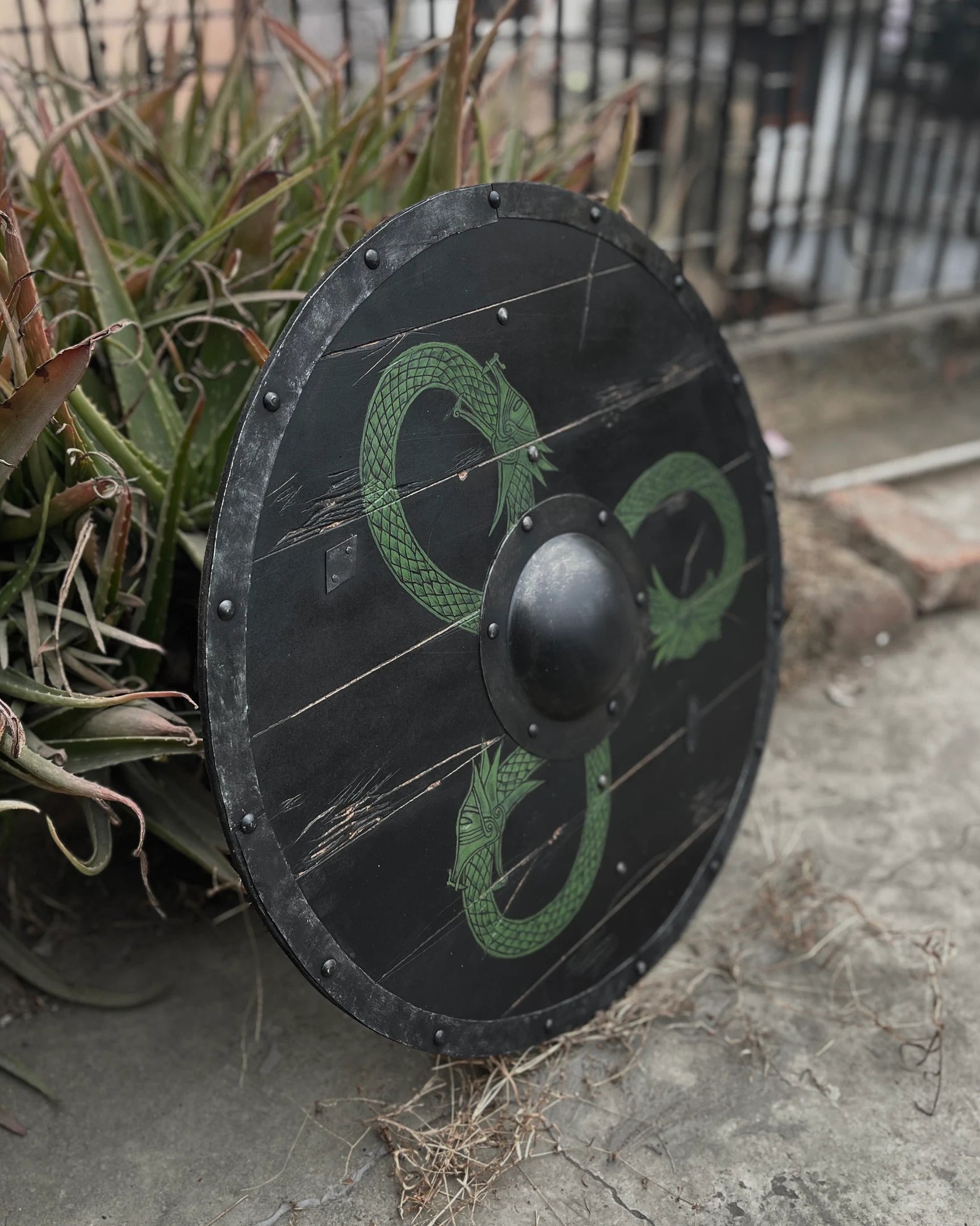 Viking round shield