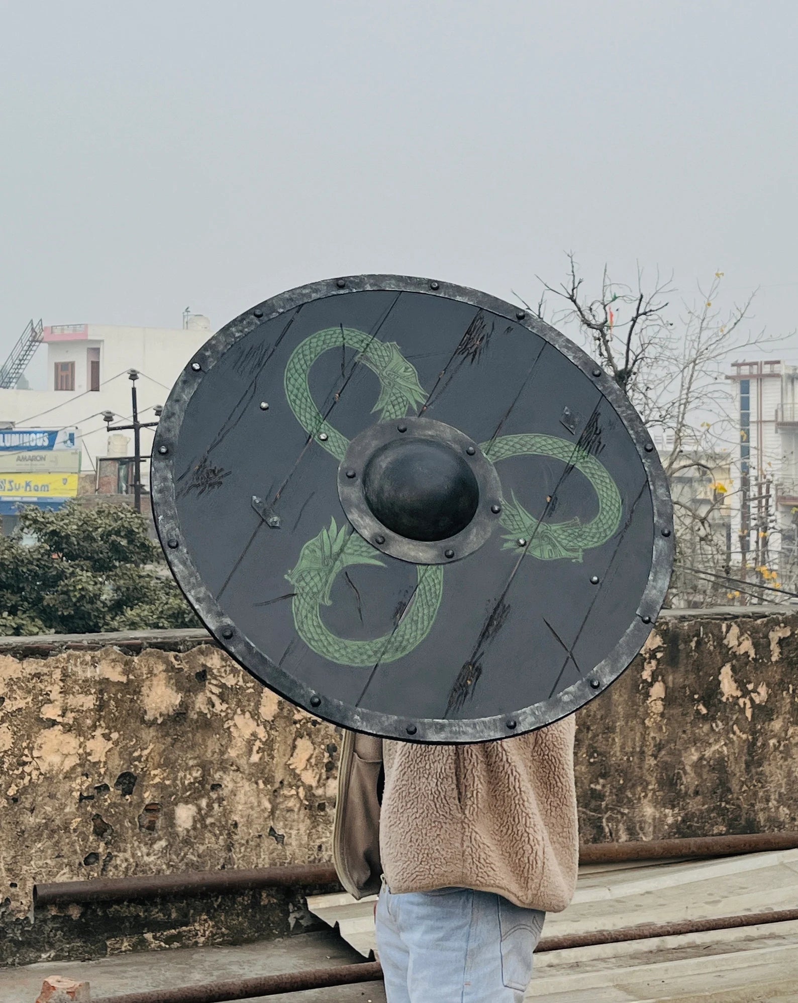 Norse round shield