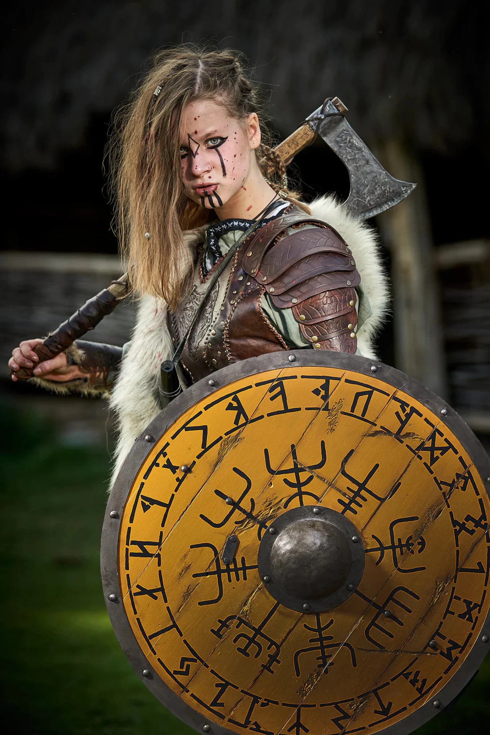 Medieval shield